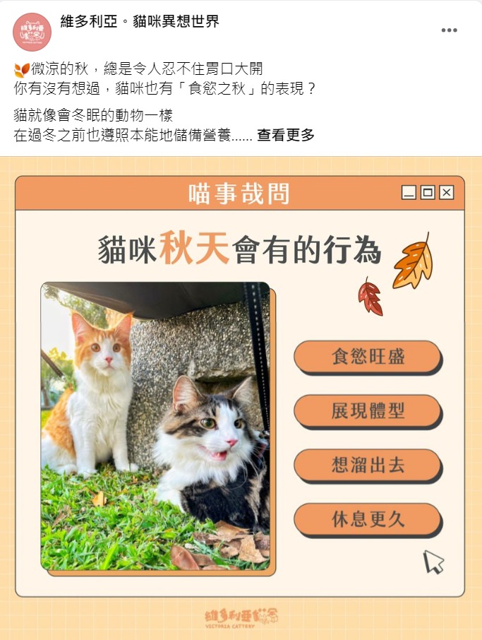 Facebook 社群貼文範例